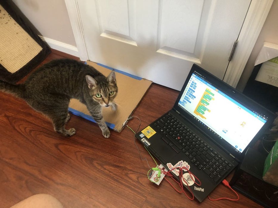 Cat Sensor Invention